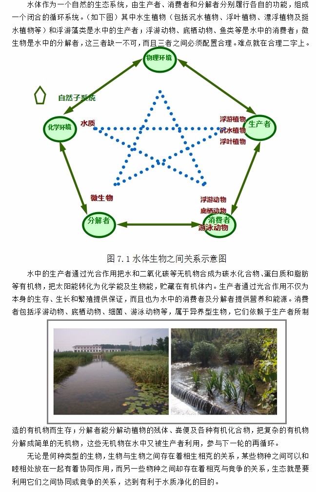 7、河道治理：水生態(tài)技術.jpg